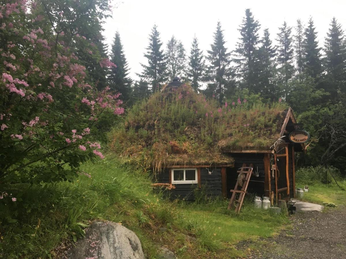 100 Years Old Norwegian Log House In Tromso Villa Exterior photo