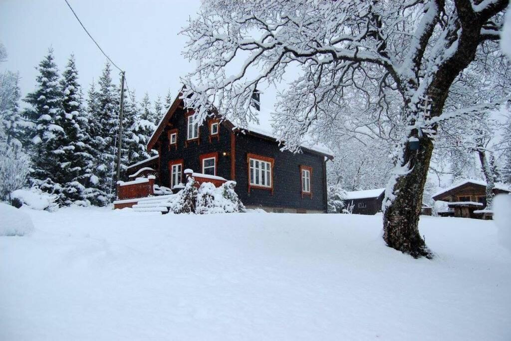 100 Years Old Norwegian Log House In Tromso Villa Exterior photo