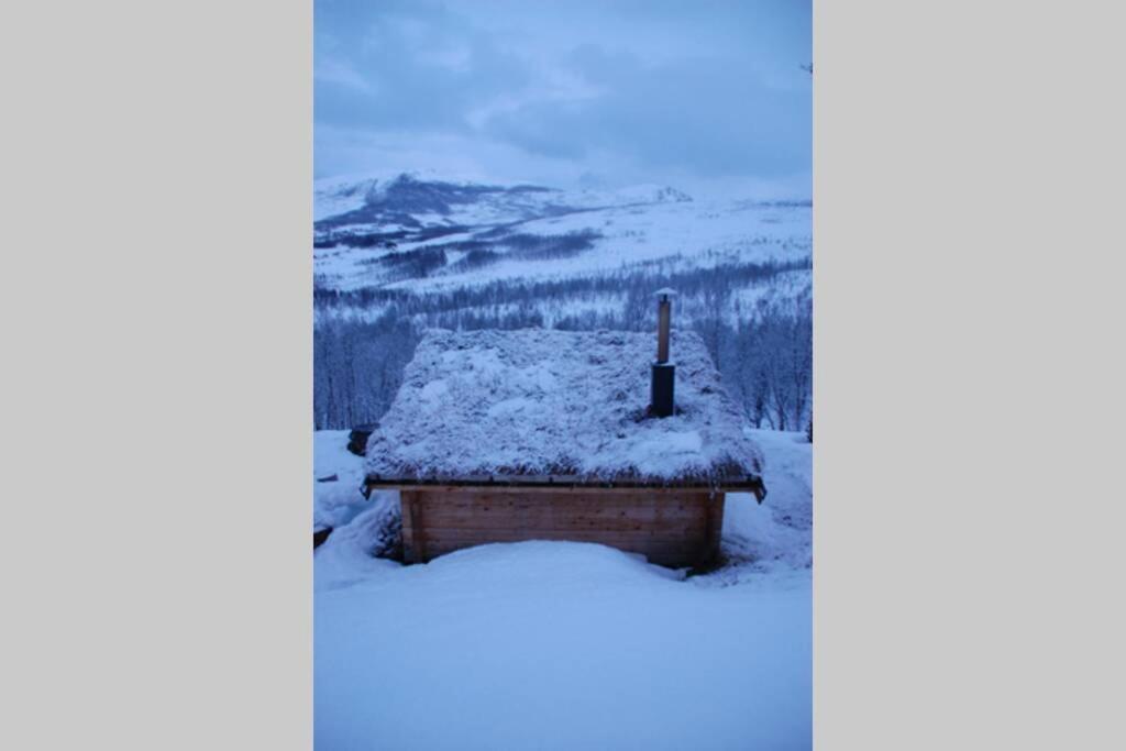 100 Years Old Norwegian Log House In Tromso Villa Exterior photo