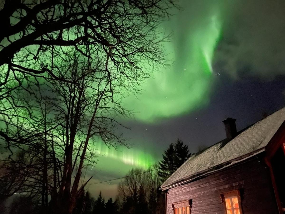 100 Years Old Norwegian Log House In Tromso Villa Exterior photo