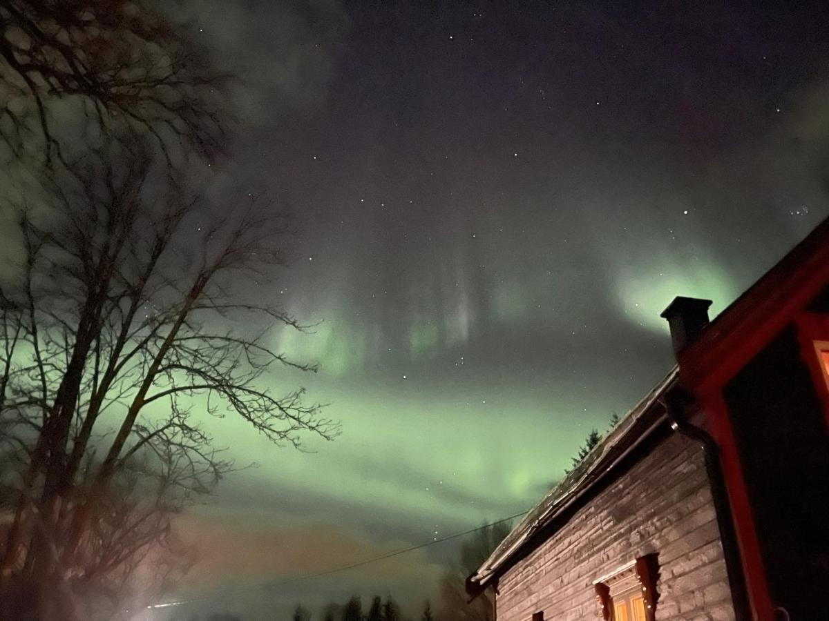 100 Years Old Norwegian Log House In Tromso Villa Exterior photo